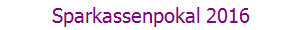 Sparkassenpokal 2016
